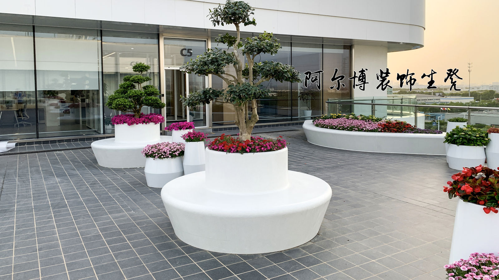 苏州树池坐凳造型二