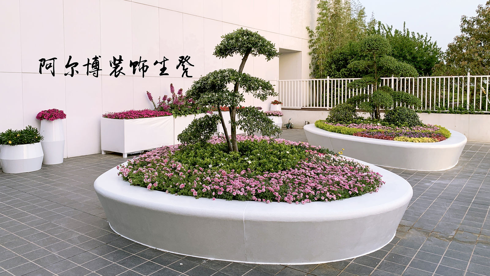 苏州树池坐凳造型三