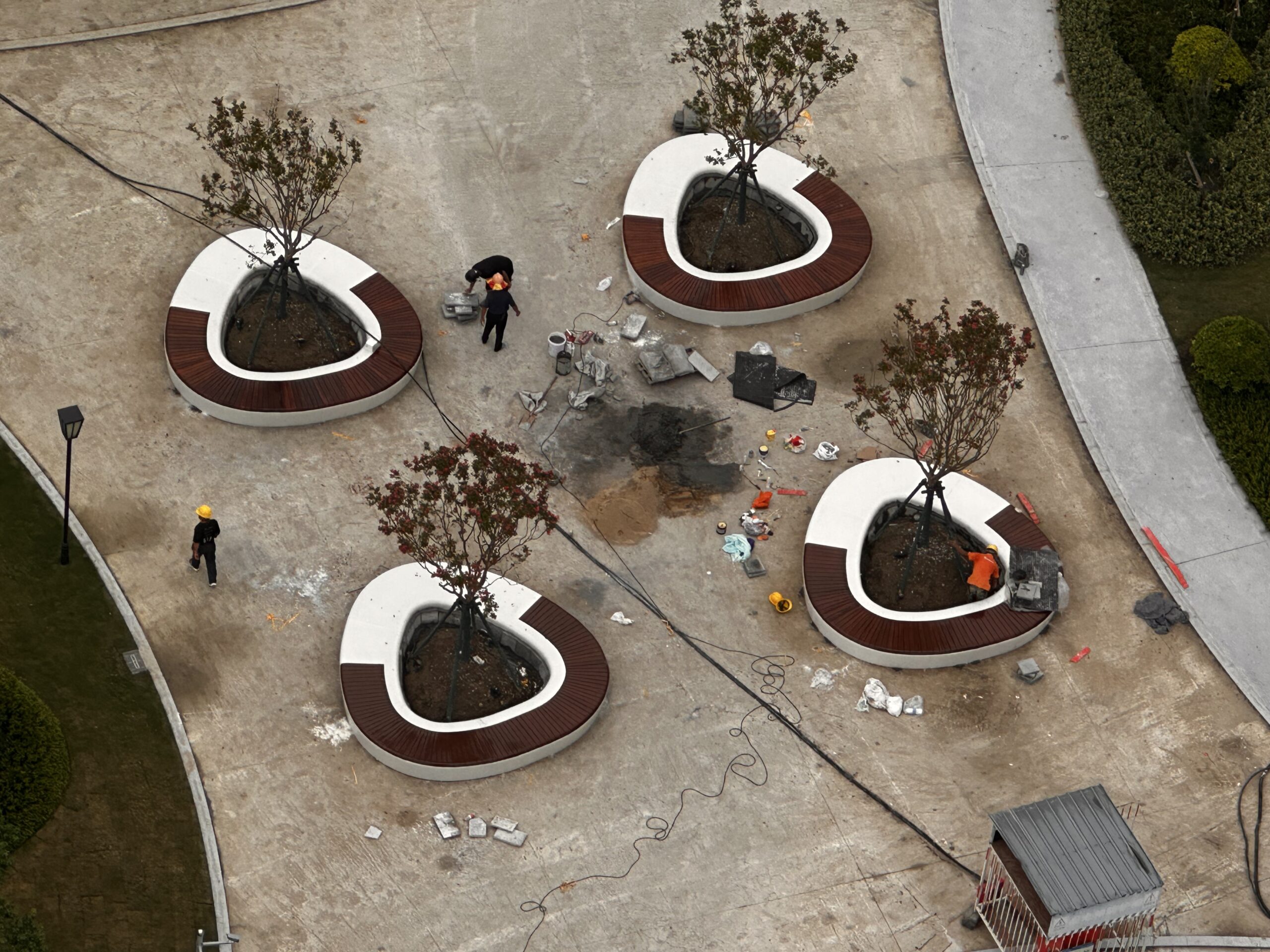 心型柔栖:树池坐凳里的公共空间温情