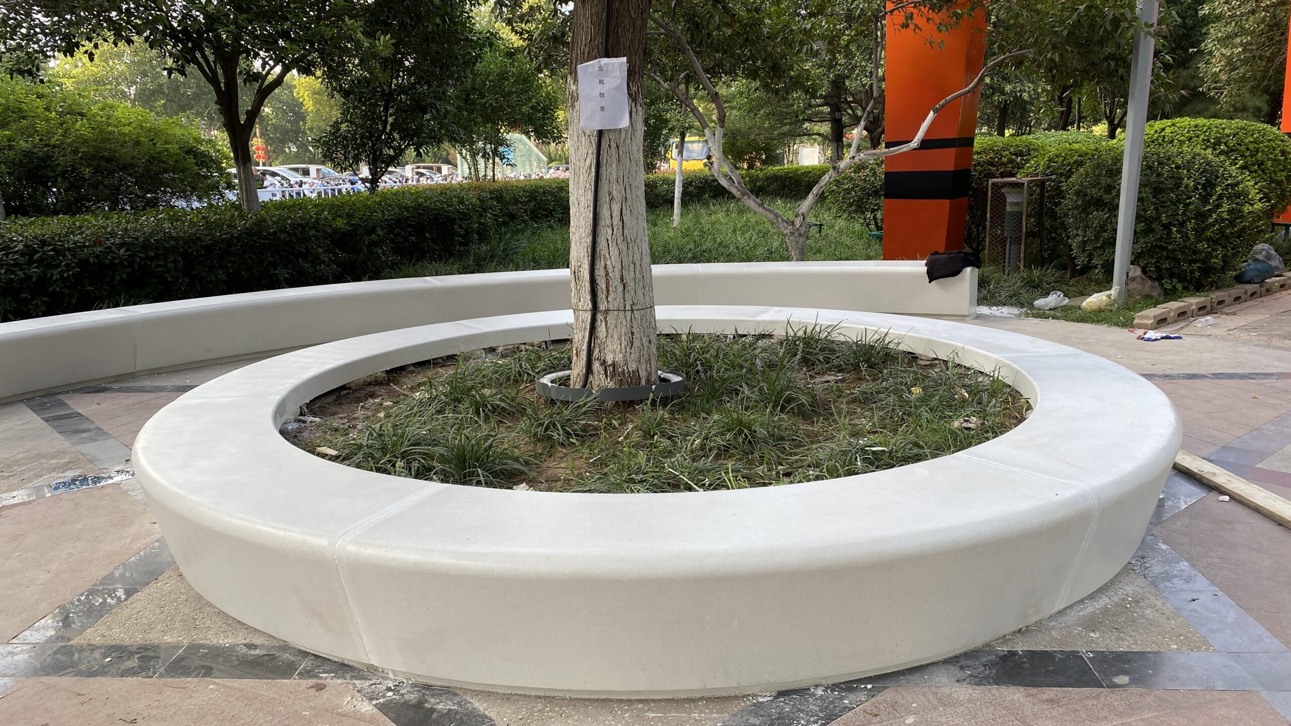 树影里的 “环形温柔”